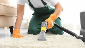 Floor & Carpet Cleaning